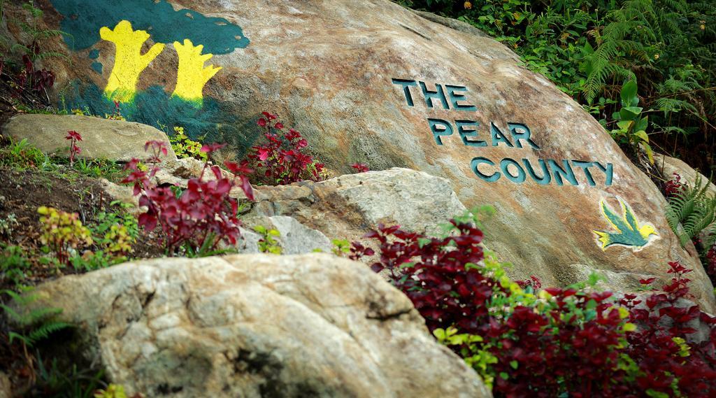 Villa The Pear County à Tamilnadu - Tamilnadu - Kodaikanal Extérieur photo